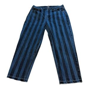 BDG Black & Blue Stripe Straight Leg Cropped Jean - Size 30W